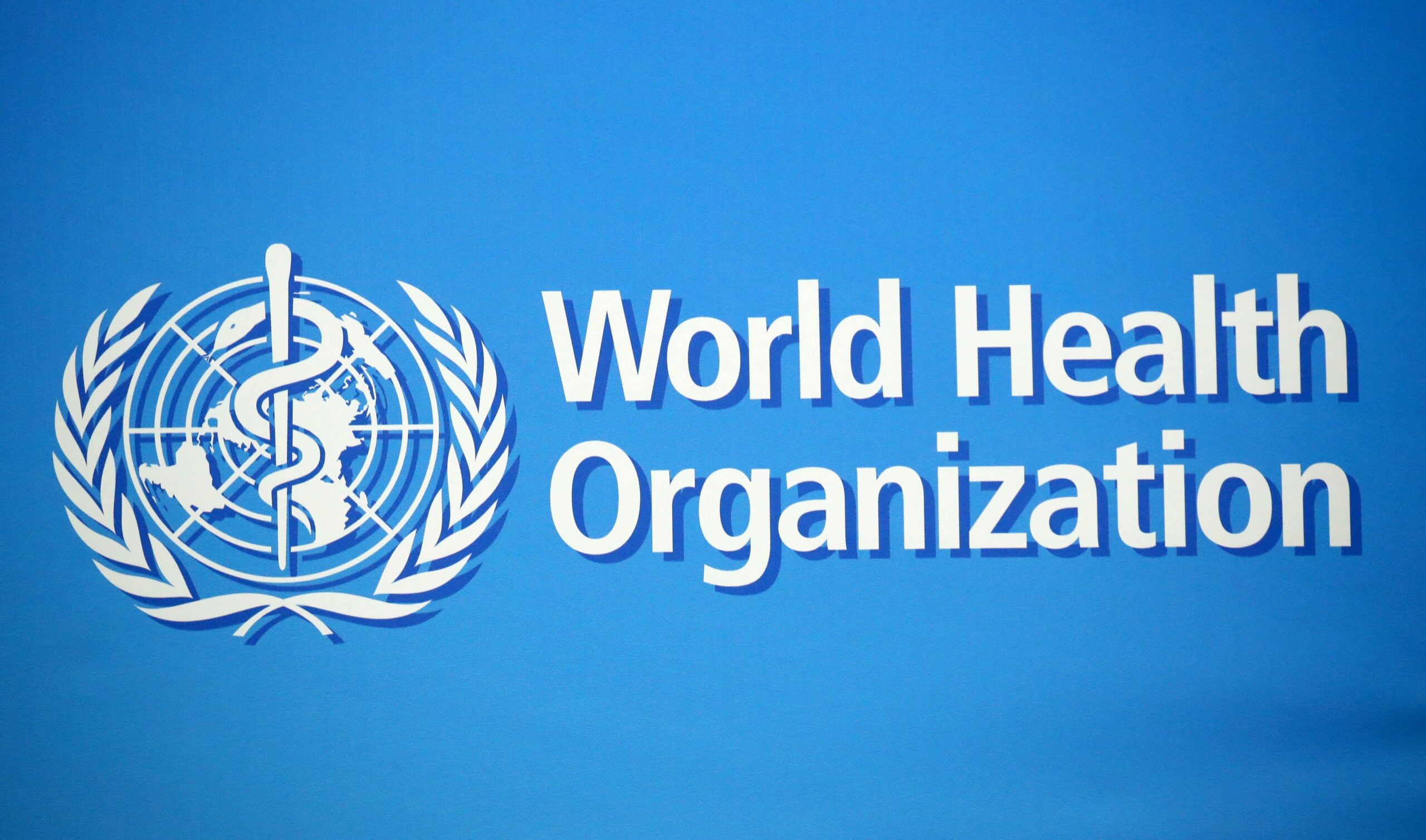 What the World Health Organization does?